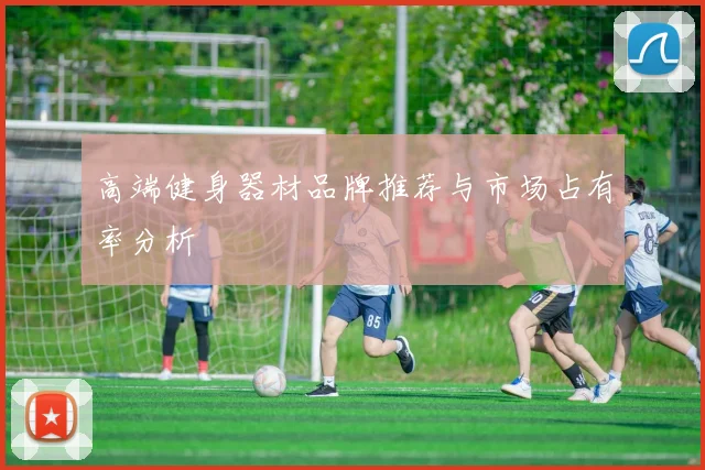 高端健身器材品牌推荐与市场占有率分析