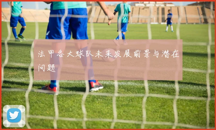 法甲各大球队未来发展前景与潜在问题