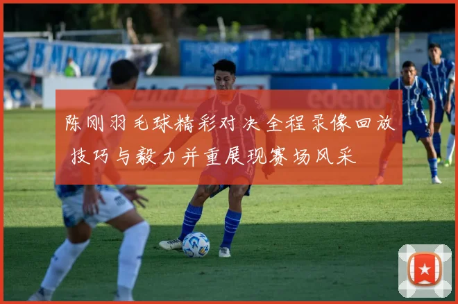 陈刚羽毛球精彩对决全程录像回放 技巧与毅力并重展现赛场风采