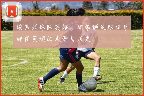 埃弗顿球队英超：埃弗顿足球俱乐部在英超的表现与历史