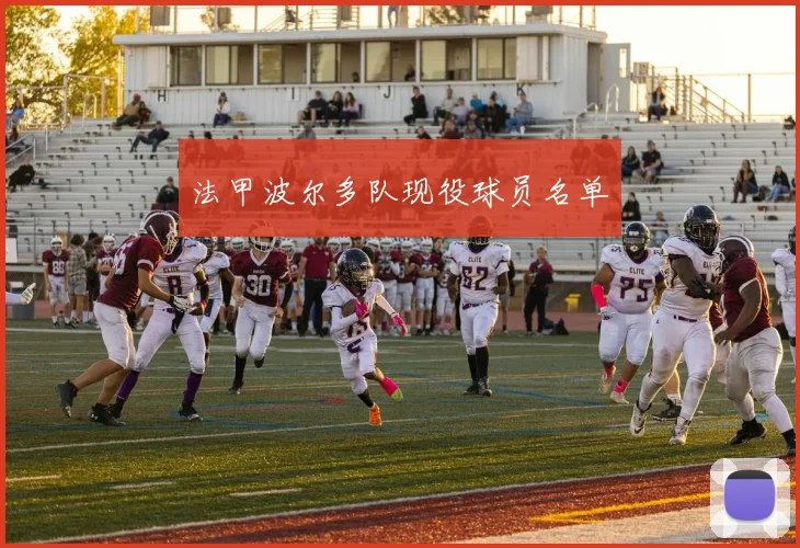 法甲波尔多队现役球员名单